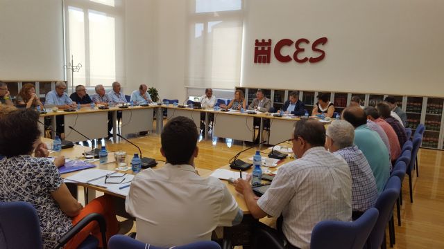 El Consejo Escolar de la Región de Murcia aprueba el plan de trabajo para el curso 2016-2017 - 1, Foto 1