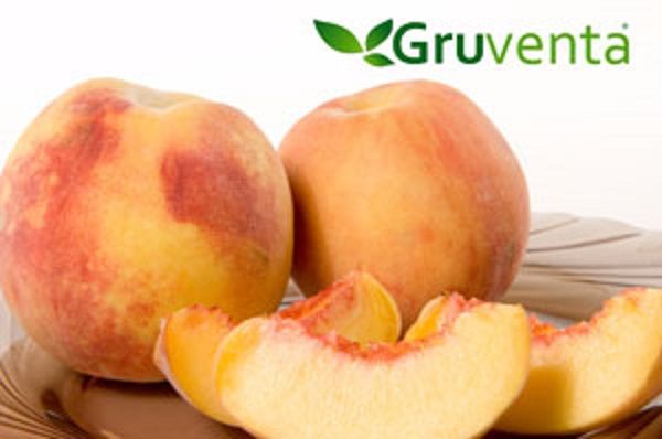 Gruventa destaca una campaña de fruta marcada por la calidad e internacionalización, a pesar de la fuerte competencia exterior - 1, Foto 1