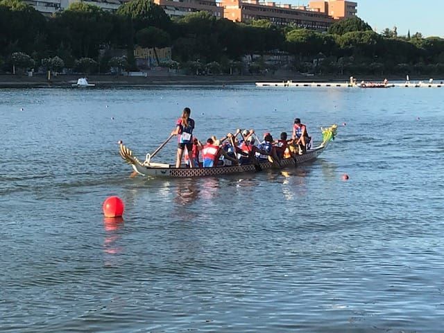 Éxito histórico en el campeonato europeo de Dragon Boat - 2, Foto 2