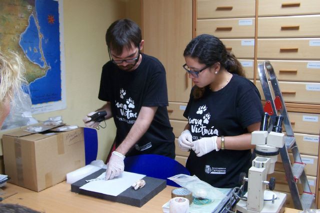 Arranca el segundo turno del campo de trabajo en Cueva Victoria - 1, Foto 1