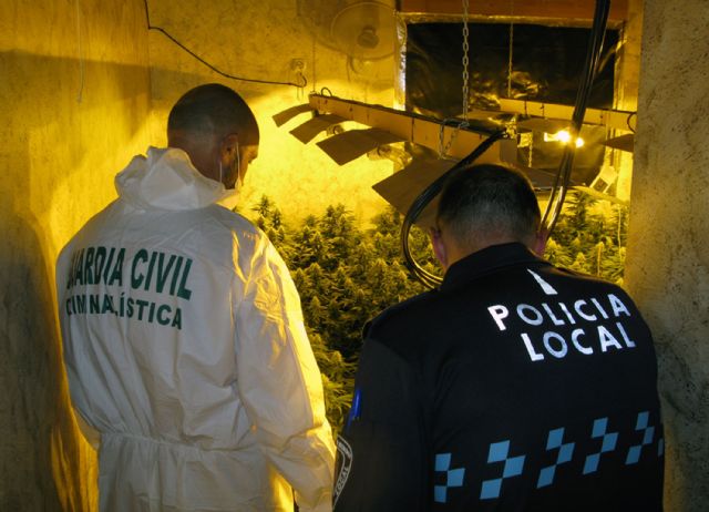 La Guardia Civil desmantela una plantación de marihuana en una vivienda de Calasparra - 3, Foto 3