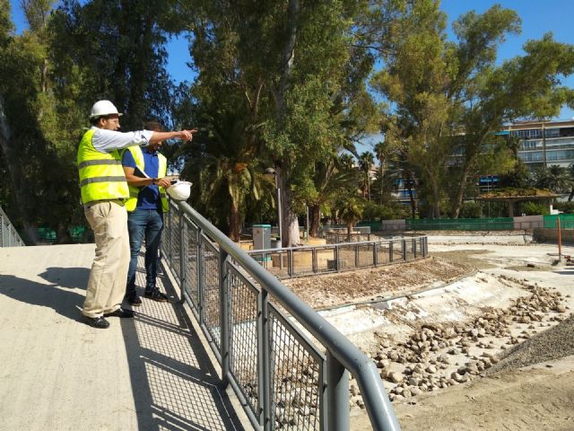 Desarrollo Urbano realiza obras de limpieza y restauración en el lago del Salitre - 2, Foto 2