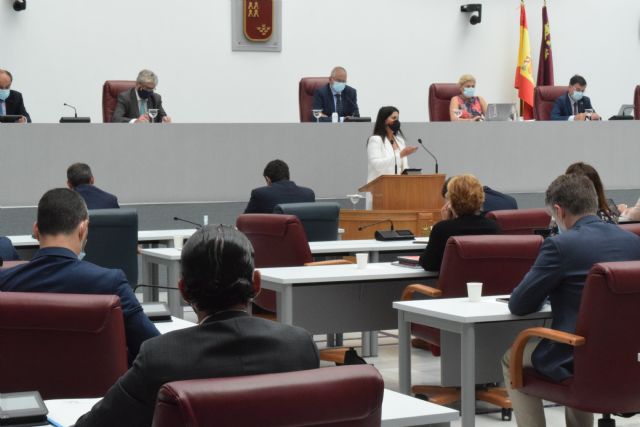 Mª Carmen Ruiz Jódar: López Miras suple la inacción de Sánchez para combatir las conductas incívicas que amenazan la salud del resto de ciudadanos - 2, Foto 2