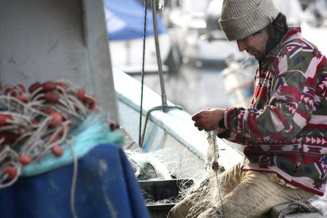 El turismo marinero, una posible solución al declive del sector pesquero según la UMU - 1, Foto 1
