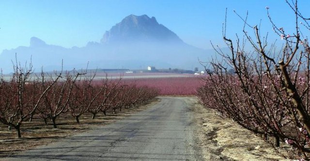 Tercera convocatoria de mejora de caminos rurales - 1, Foto 1