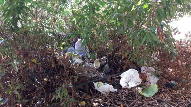 El PP exige una intervención integral de limpieza, desinfección y mantenimiento en los barrios altos ante la lamentable imagen que presentan desde hace meses - 1, Foto 1