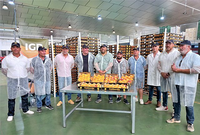 La Cooperativa La Vega de Cieza inicia también el etiquetado con la IGP Melocotón de Cieza - 1, Foto 1