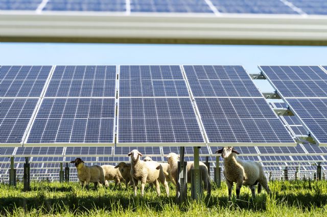 La Unión Española Fotovoltaica quiere contribuir a la resolución de la crisis energética actual llamando a la eficiencia y presentando una batería de medidas para reducir la dependencia nacional - 1, Foto 1