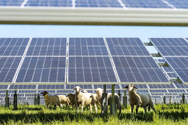 La Unión Española Fotovoltaica quiere contribuir a la resolución de la crisis energética actual llamando a la eficiencia y presentando una batería de medidas para reducir la dependencia nacional - 1, Foto 1