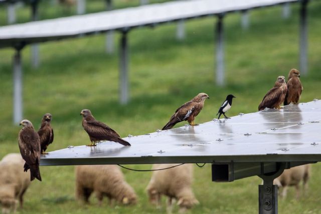 La Unión Española Fotovoltaica quiere contribuir a la resolución de la crisis energética actual llamando a la eficiencia y presentando una batería de medidas para reducir la dependencia nacional - 2, Foto 2