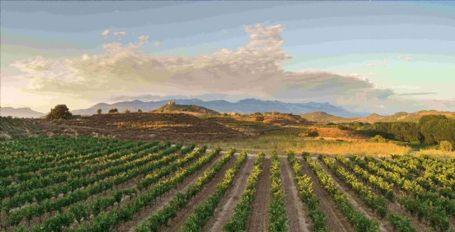 Zamora Company impulsa su liderazgo sostenible y avanza hacia la descarbonización en el año del centenario de Ramón Bilbao - 1, Foto 1