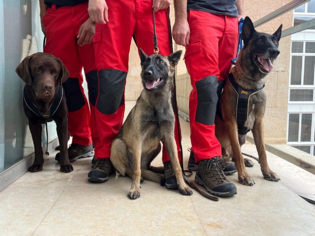Murcia contará con su propia Unidad Canina de Bomberos, un recurso clave para la respuesta en emergencias - 2, Foto 2