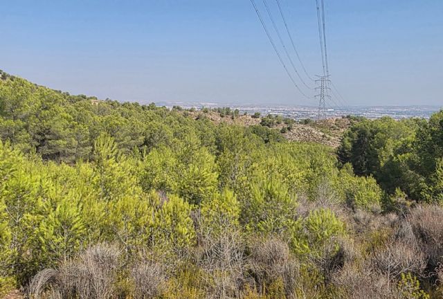 VOX exige explicaciones al consejero de Medio Ambiente por el riesgo de incendio en el Espacio Natural del Valle y Carrascoy - 3, Foto 3
