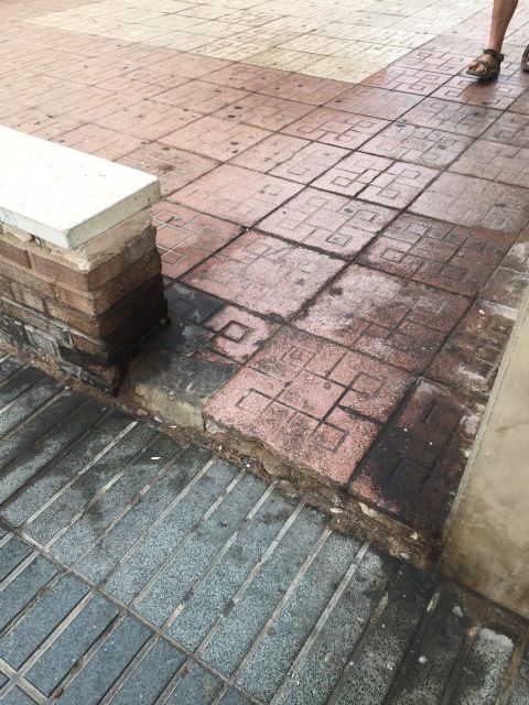 CTSSP comprueba que la suciedad de las calles afecta también a las zonas más privilegiadas de la ciudad - 2, Foto 2