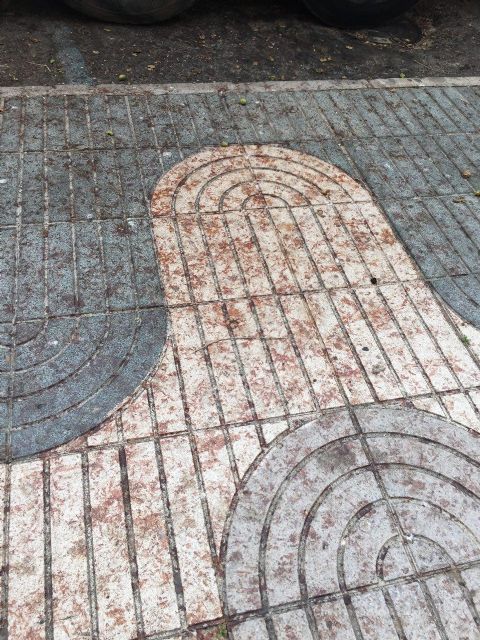 CTSSP comprueba que la suciedad de las calles afecta también a las zonas más privilegiadas de la ciudad - 3, Foto 3