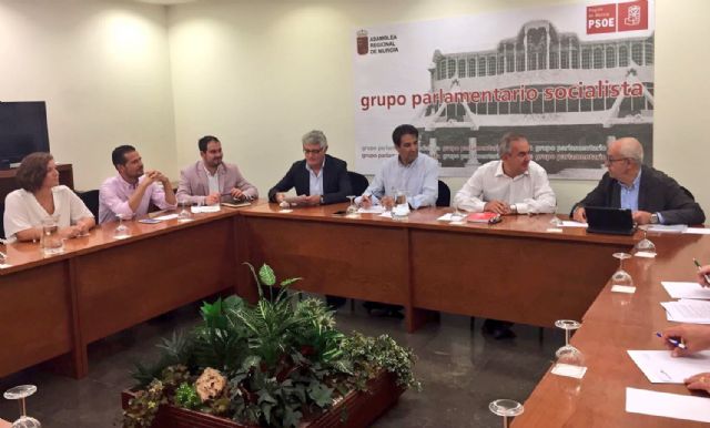 El PSOE recoge la iniciativa de los comerciantes y hosteleros del Mar Menor para que se cree un plan de dinamización que ponga en valor la zona - 2, Foto 2