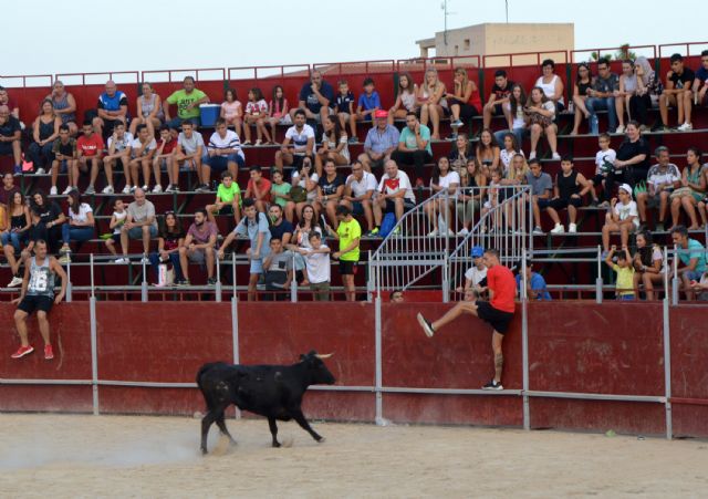 Unas 5.000 personas disfrutan de la ´XV Noche de la zurra y la brasa´ en las fiestas torreñas - 4, Foto 4