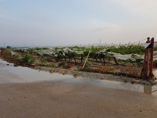 El Ayuntamiento pide ayudas por los daños en la agricultura de las últimas lluvias, Foto 2