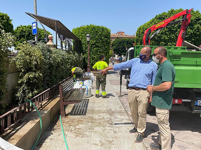 El Plan Hiedra reverdece Glorieta - 1, Foto 1