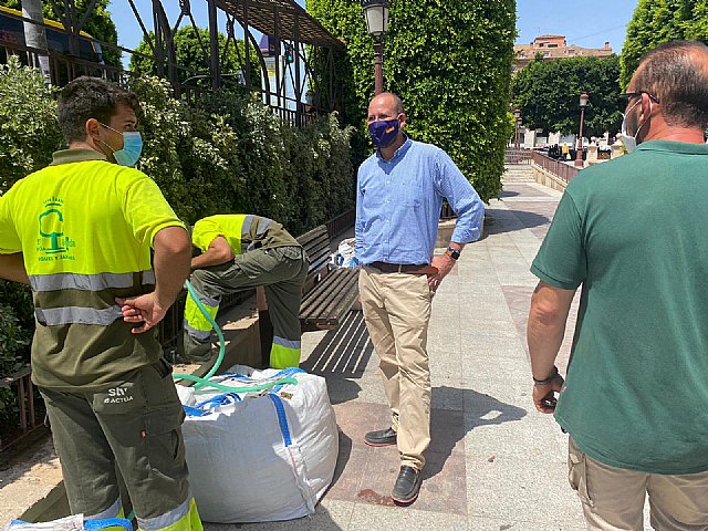 El Plan Hiedra reverdece Glorieta - 2, Foto 2