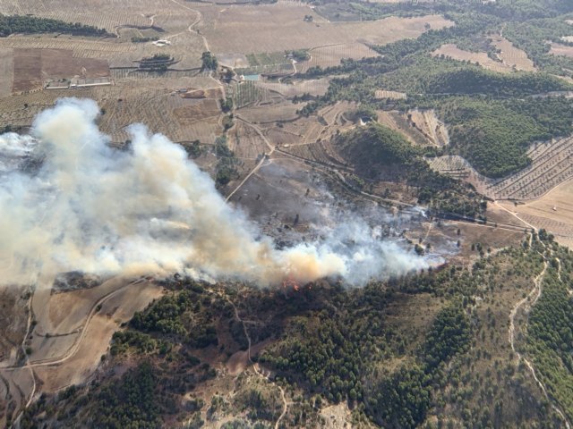 Incendio forestal en el paraje los Porriones - 1, Foto 1