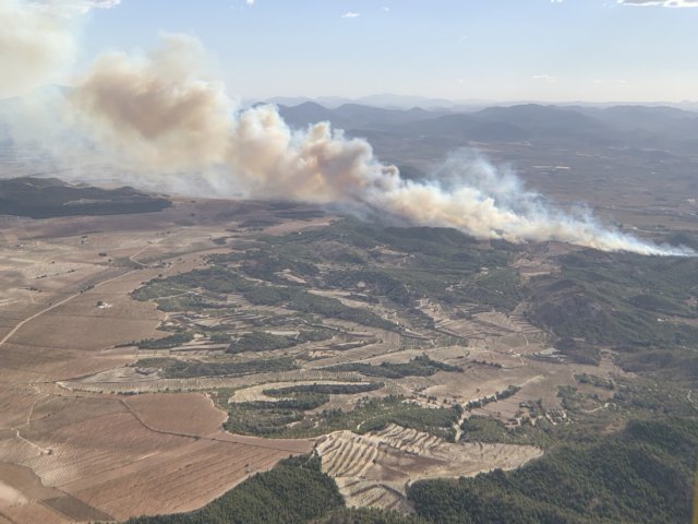 Incendio forestal en el paraje los Porriones - 2, Foto 2