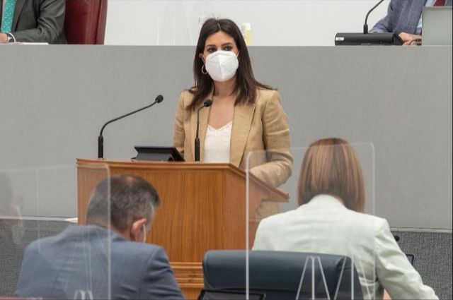 El PP reclama al PSRM que deje de hacer campaña con el Mar Menor y se ponga a trabajar de una vez - 1, Foto 1