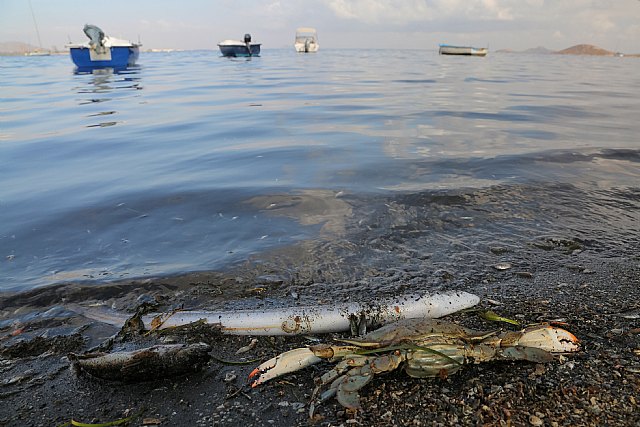 Tenemos soluciones integrales para el Mar Menor que ya se han aplicado con éxito en Canadá - 1, Foto 1