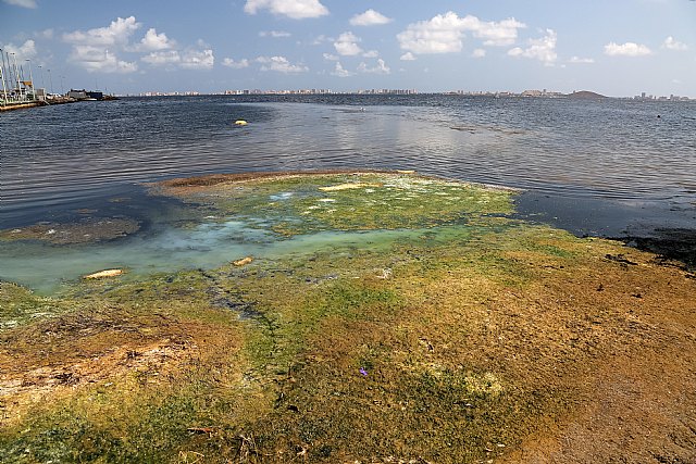 Tenemos soluciones integrales para el Mar Menor que ya se han aplicado con éxito en Canadá - 4, Foto 4