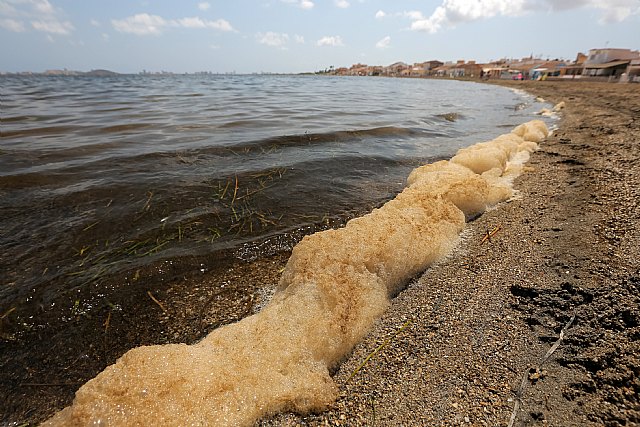 Tenemos soluciones integrales para el Mar Menor que ya se han aplicado con éxito en Canadá - 5, Foto 5