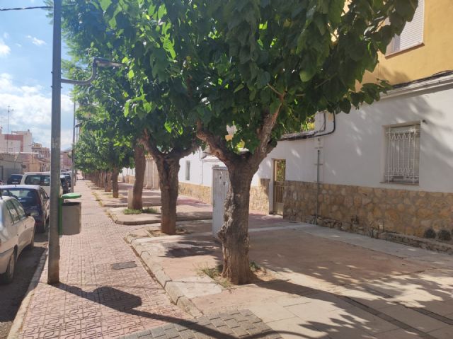 El Ayuntamiento acondiciona el entorno de las Casas de José Solís - 3, Foto 3