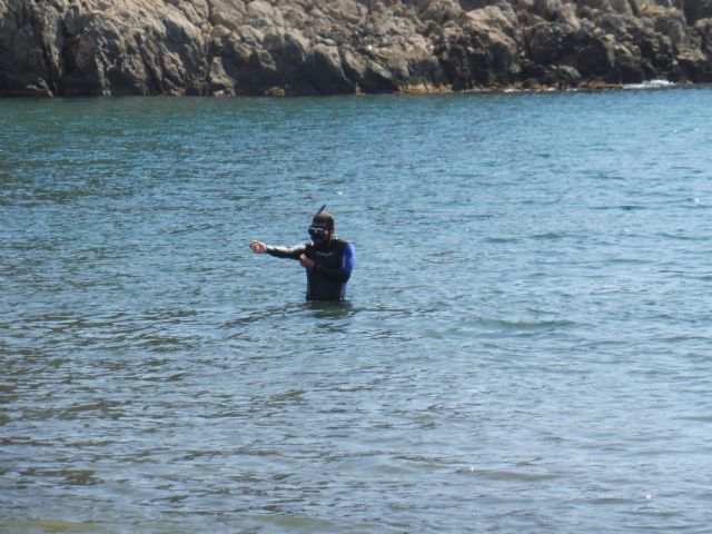 Evalúan la potencial transferencia de metales de la Sierra Minera a suelos forestales, biota marina, cultivos y polvo urbano - 2, Foto 2