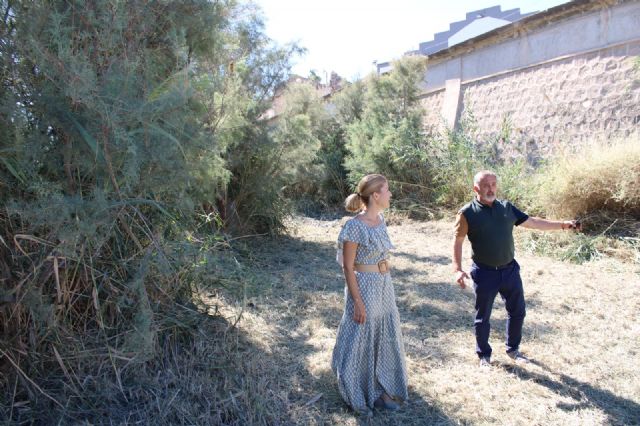 Arranca la limpieza del cauce del Guadalentín a su paso por Lorca - 3, Foto 3