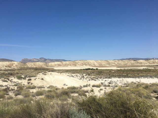 La Región de Murcia lidera el abandono de tierras agrícolas, comprometiendo la vertebración del mundo rural - 1, Foto 1