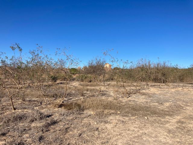 La Región de Murcia lidera el abandono de tierras agrícolas, comprometiendo la vertebración del mundo rural - 2, Foto 2
