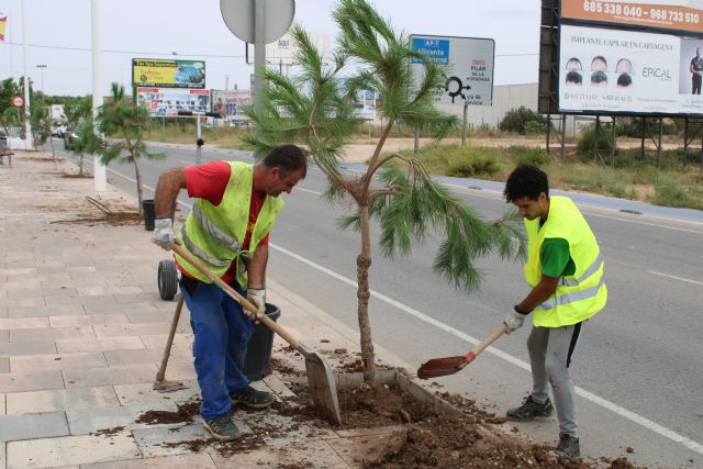 San Pedro del Pinatar suma más de 500 árboles esta legislatura dentro del plan municipal de renaturalización ‘+Pinatar’ - 2, Foto 2