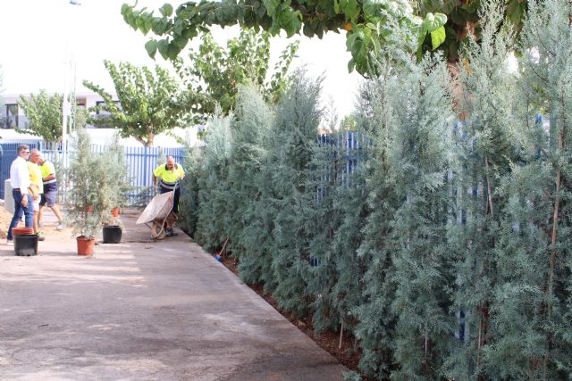 San Pedro del Pinatar suma más de 500 árboles esta legislatura dentro del plan municipal de renaturalización ‘+Pinatar’ - 3, Foto 3