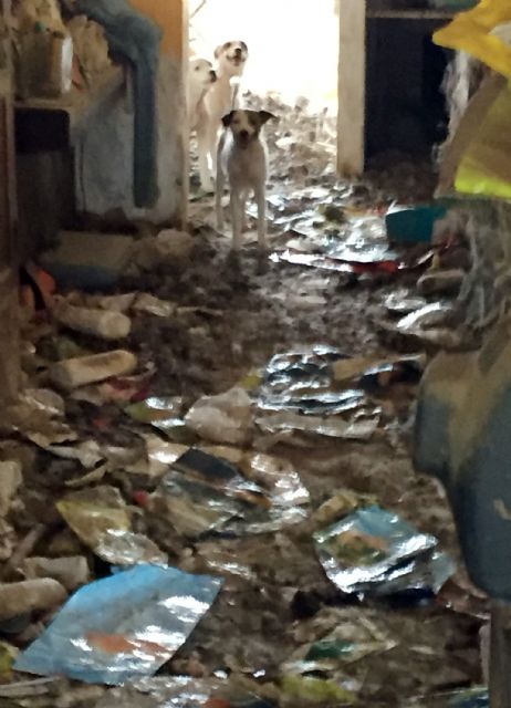 La Guardia Civil investiga a una vecina de Abanilla por delito de maltrato animal - 2, Foto 2