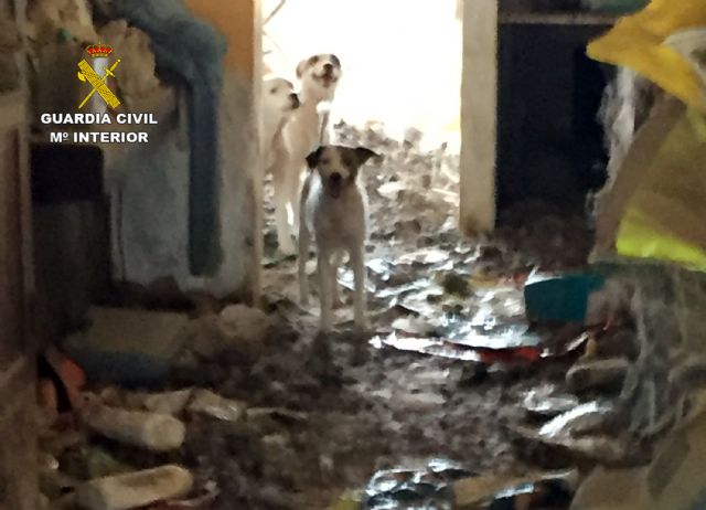 La Guardia Civil investiga a una vecina de Abanilla por delito de maltrato animal - 3, Foto 3