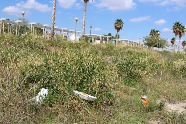 A side of the Mayor's Office urges the cleaning and maintenance of private urban plots of the urban area, El Paretn and the urbanization "La Charca", Foto 6