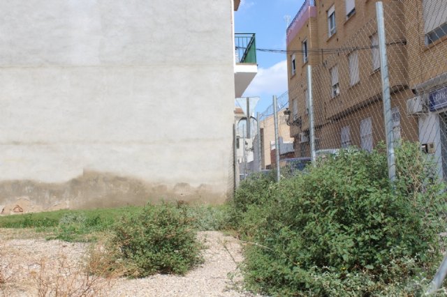 A side of the Mayor's Office urges the cleaning and maintenance of private urban plots of the urban area, El Paretn and the urbanization "La Charca", Foto 8