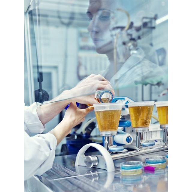 Estrella de Levante recibe el ‘Sello Distintivo de Igualdad’ de la Región de Murcia - 3, Foto 3