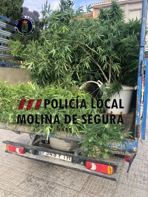 La Policía Local de Molina de Segura detiene a un joven por cultivar marihuana en su casa de La Alcayna - 2, Foto 2