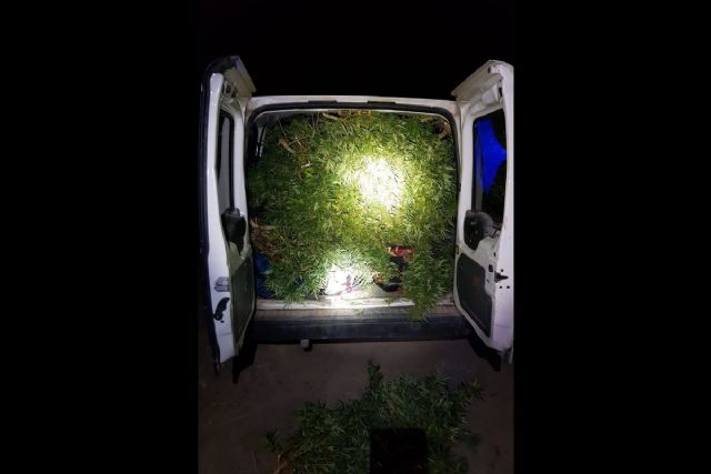 La Policía Local de Cartagena detiene a tres individuos tras asaltar una plantación terapéutica de marihuana en La Puebla - 1, Foto 1