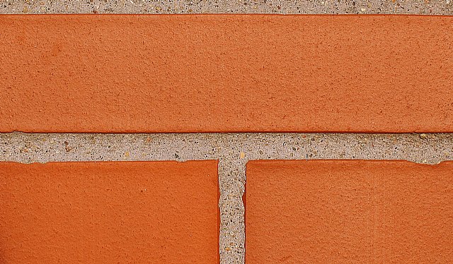 David Lucas inaugura el Congreso Rebuild 2020 - 1, Foto 1