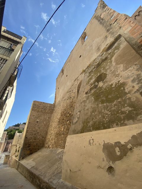 María Dolores Ruiz (MC) exigirá al Gobierno local que convoque el concurso para definir el proyecto de restauración de la Catedral - 4, Foto 4