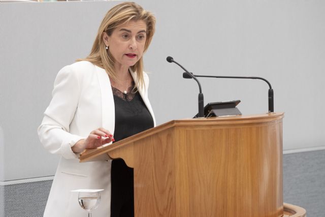 Carmina Fernández: La carretera de La Aljorra y SABIC se arreglará gracias a la iniciativa del PSOE aprobada esta mañana - 1, Foto 1