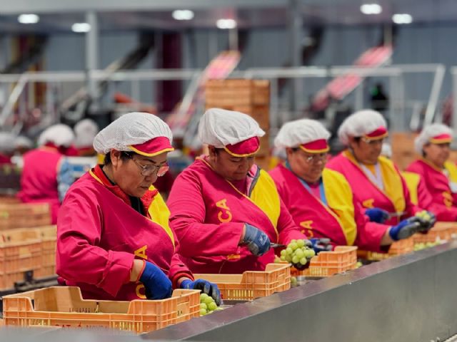 Moyca refuerza su presencia en Fruit Attraction con un nuevo estand - 1, Foto 1