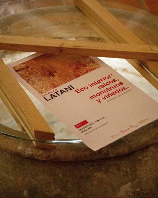 Hasta el 30 de noviembre en el Museo del Vino de Bullas puedes visitar la exposición de Latani 'Eco interior: raíces, monstruos y viñedos' - 1, Foto 1