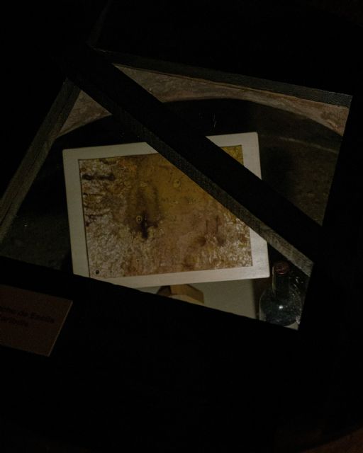 Hasta el 30 de noviembre en el Museo del Vino de Bullas puedes visitar la exposición de Latani 'Eco interior: raíces, monstruos y viñedos' - 3, Foto 3